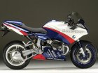 BMW R 1100S Boxer Cup Replica